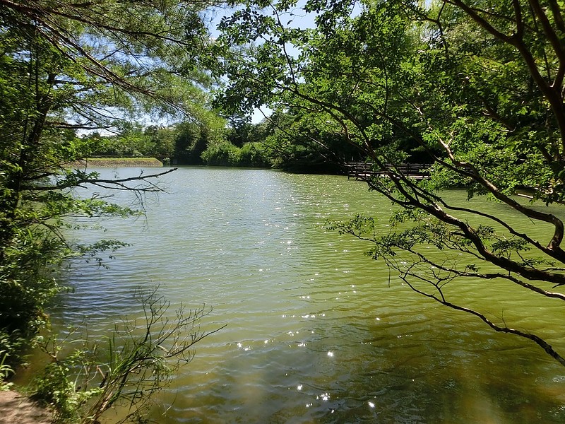 県立浜北森林公園3