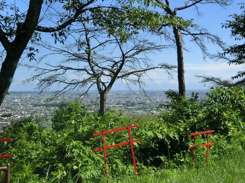 県立浜北森林公園5