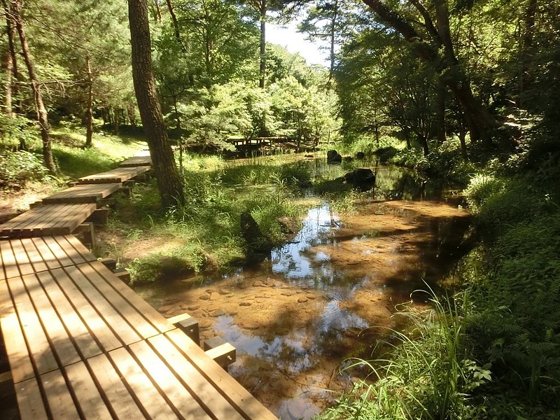 県立浜北森林公園6