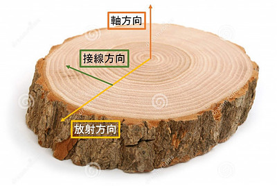 木材の3種類の基本方向