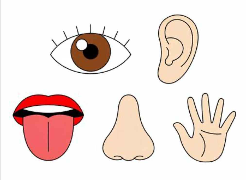 画像が削除されました