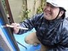 静岡市　外壁塗装工事日誌　ふれあい住宅　プライマー塗布、コーキング打ち込み、コーキング均し。