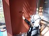 静岡市　外壁塗装工事日誌　入江邸　外壁上塗り・屋根上塗り