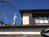 日本家屋の雨漏りケース２（３）