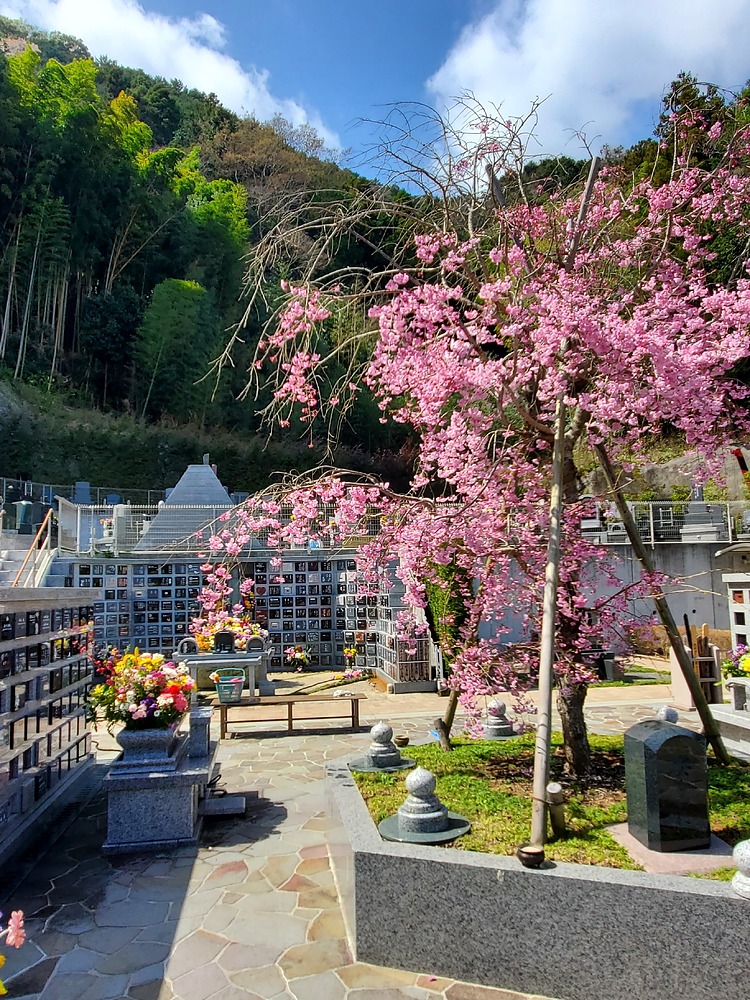 高山あきひと たかやまあきひと