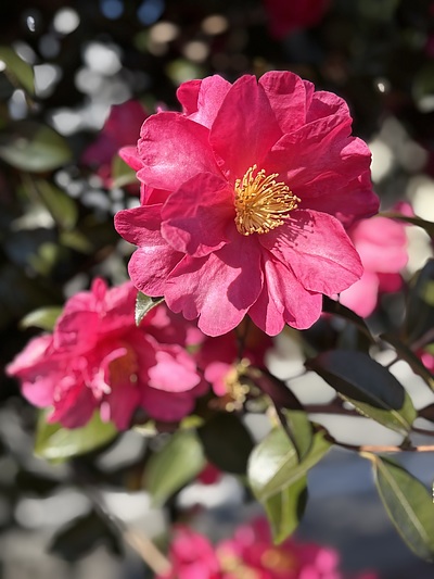 後悔のない選択