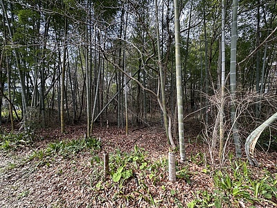 今気になる　相続土地国庫帰属制度　完全ガイド