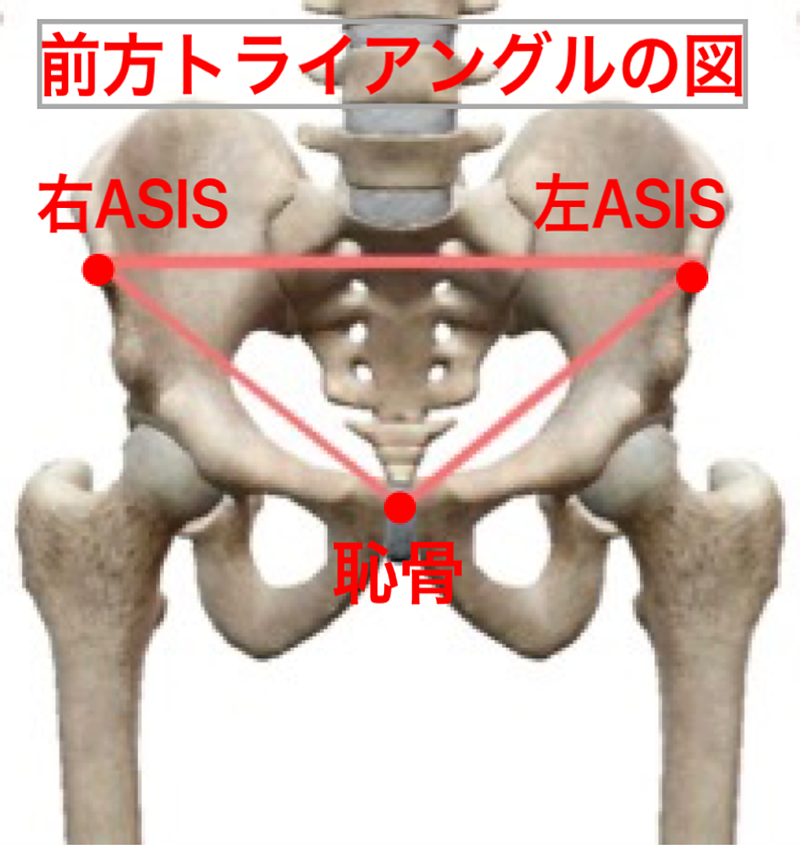 骨盤前方トライアングル