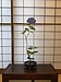 男のいけばな　紫陽花をたたて活ける