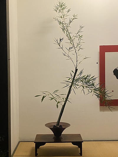 竹を生ける　男のいけばな