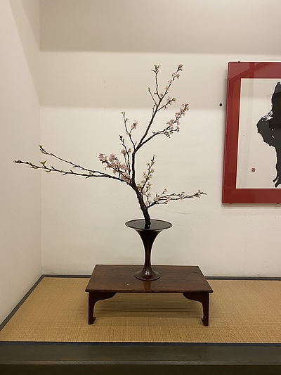 桜を生ける　男のいけばな　花いけようぜ