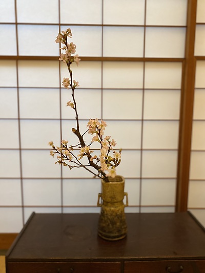 一本の枝の投げ入れ　桜　男のいけばな　花いけようぜ