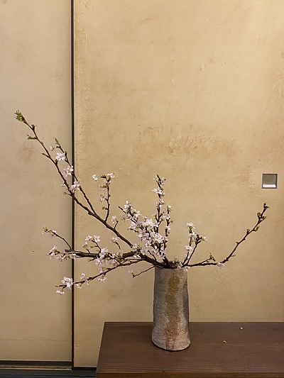 桜のなげいれ　男のいけばな　花いけようぜ