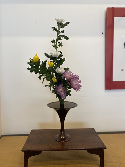 菊を床の間に活ける　日本の美意識