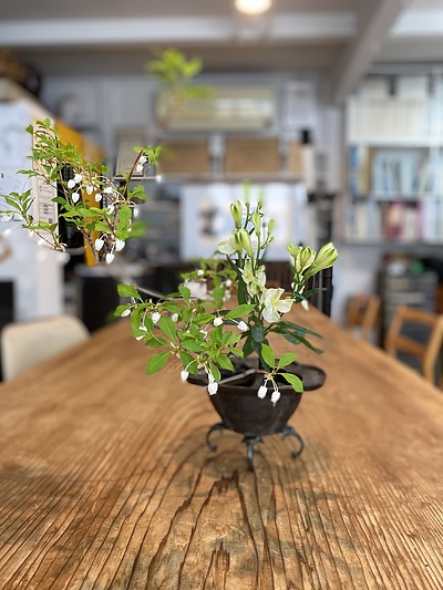 生け花教室　おとこのいけばな　投げ入れ