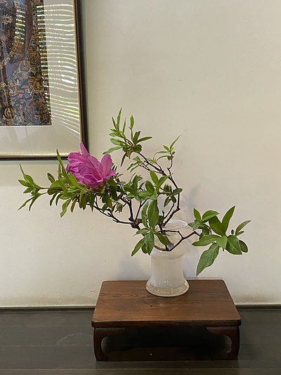 つつじの投げ入れ　男のいけばな