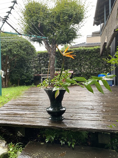 男のいけばな　雨のデッキに