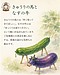 きゅうりの馬となすの牛　～「感謝を伝える文化」～