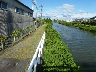 優建築工房の裏にある堀留