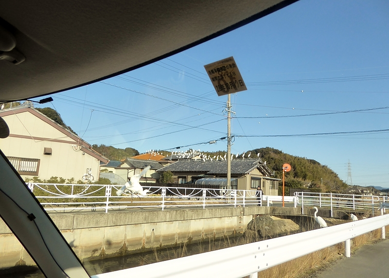 屋根に白鷺