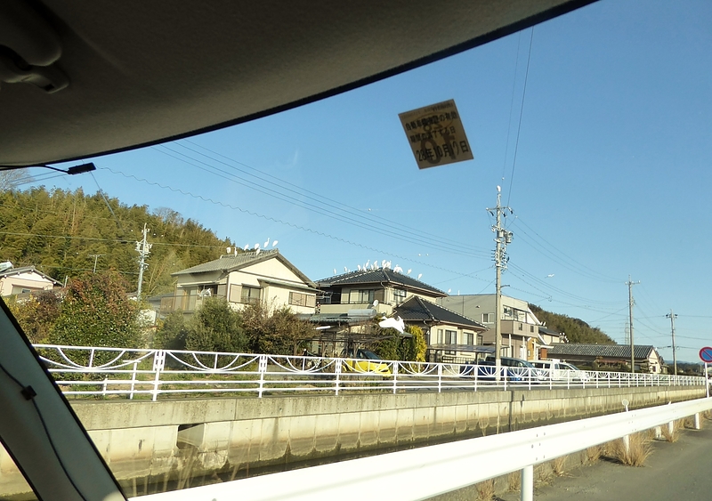 屋根に白鷺