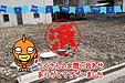 【成約】徳島市上八万町西山《土地》が成約しました！