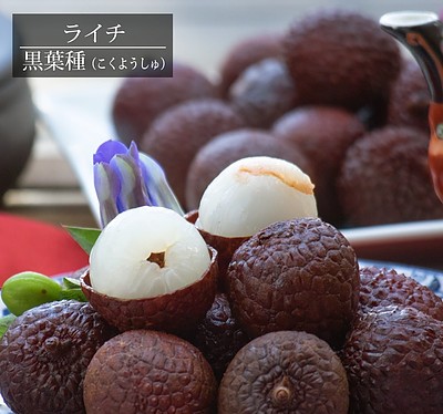 勝手に・・・続『ライチ』