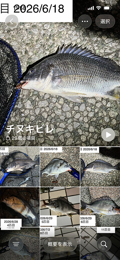 今年の目標進捗