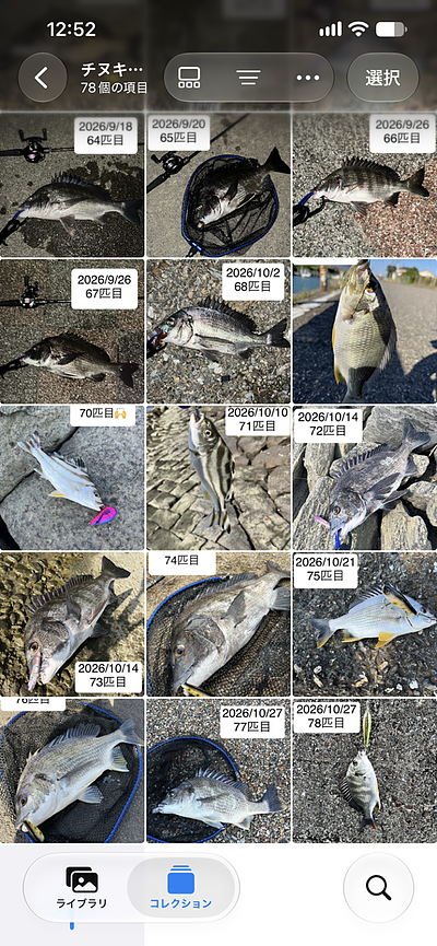 釣りは危ない