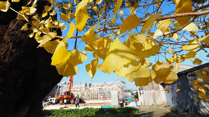 上棟　国府町　Ota建築設計