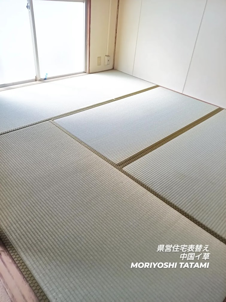 県営住宅の畳・施工後（中国イ草）