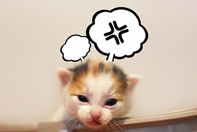 「感じ悪い人」にならないための、ゆるっと自己開示習慣