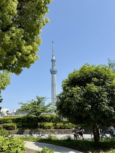 大切な人を亡くした悲しみに寄り添う映画　『ほどなく、お別れです』はグリーフケアになるのか