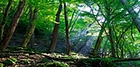 障害年金をご存じですか？