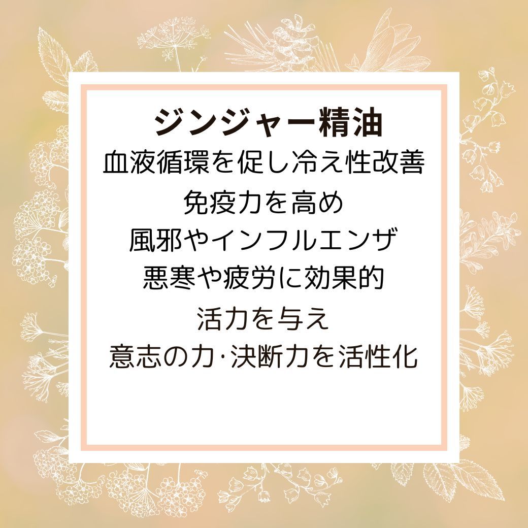 ジンジャー　おまとめ