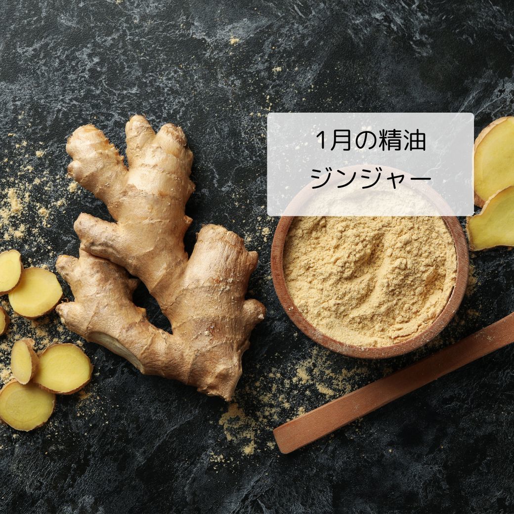 名前の由来はインドのジンギ地方からと言われてます