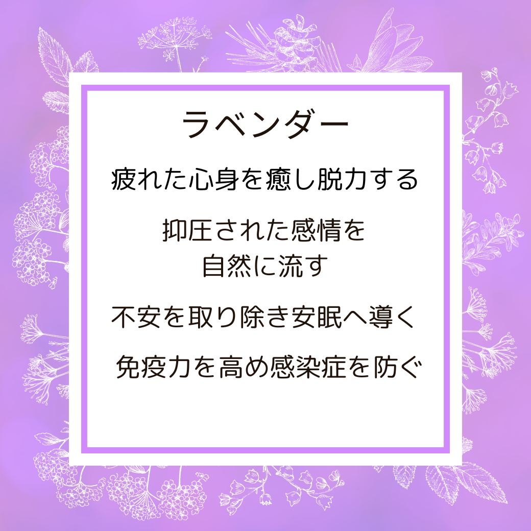 ラベンダー　おまとめ