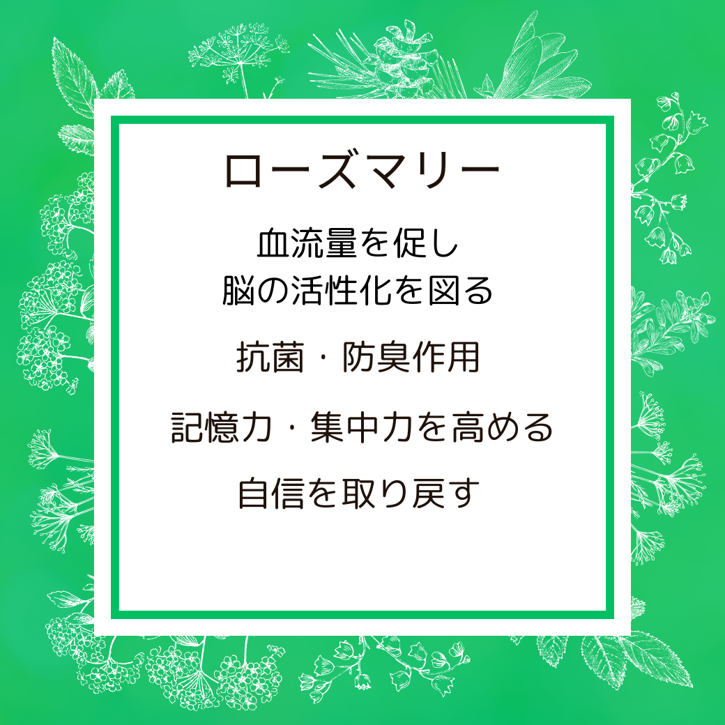 ローズマリー　おまとめ