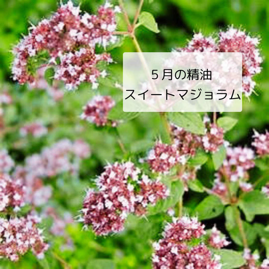 古代ギリシアでは他界した魂に平安をもたらすハーブ