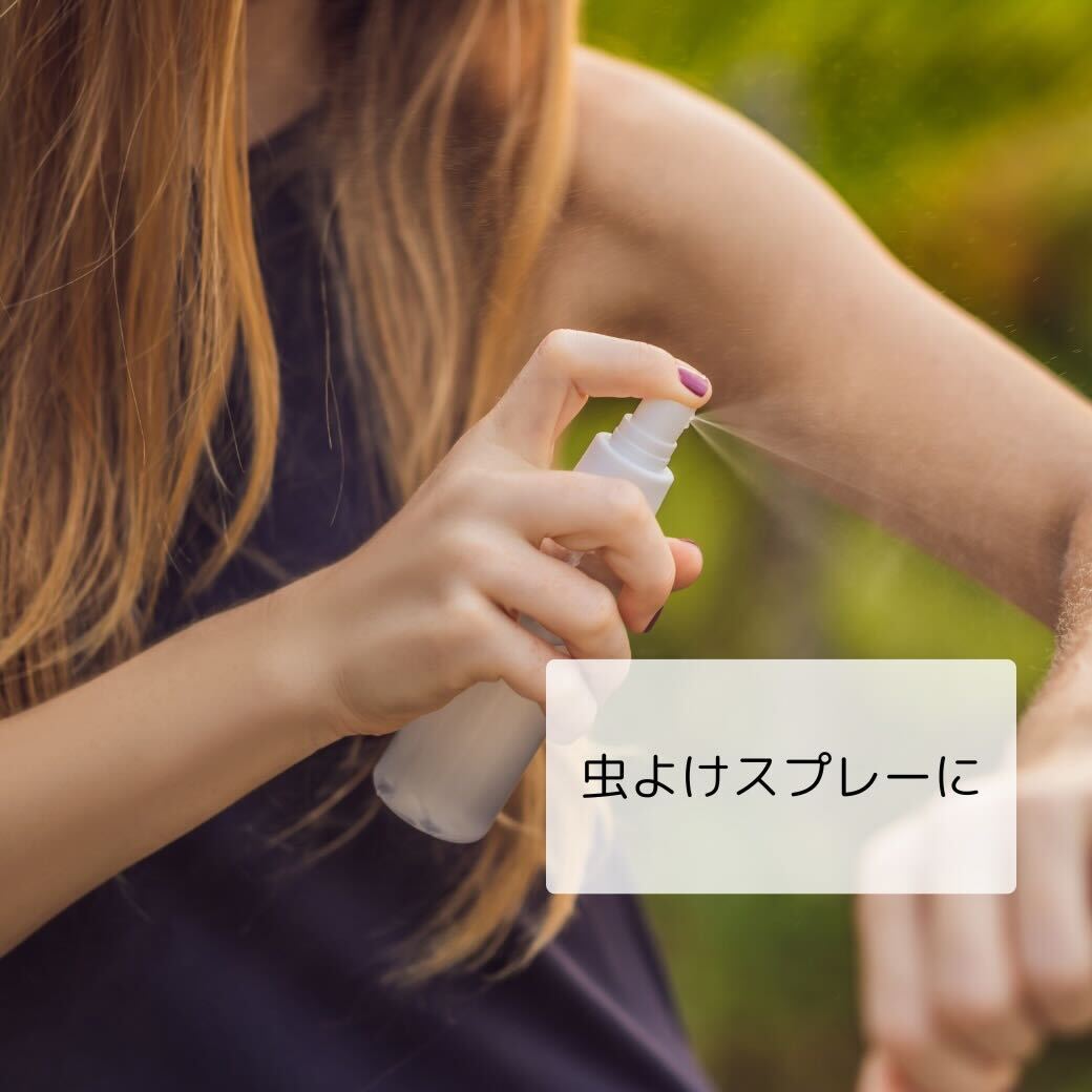 虫よけ対策にレモングラス・シトロネラがおすすめ