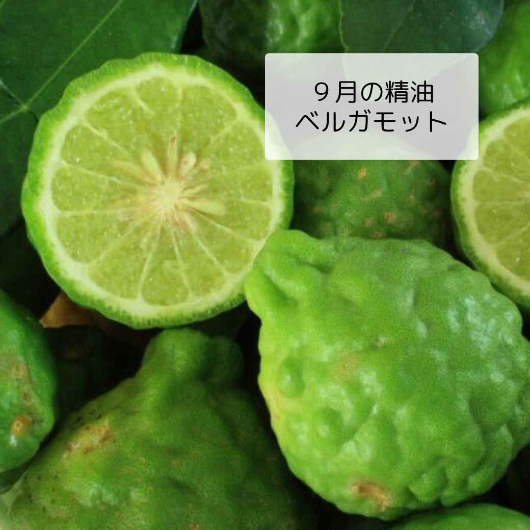 爽やかさと柔らかい甘さを併せ持つ“気持ちの整え役