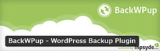 WordPress プラグイン BackWPup バックアップ設定 初心者ワードプレスの疑問