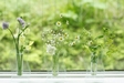 ◆エコ掃除で花粉症対策Vol.4「意外！花粉が落ちている洗面所」