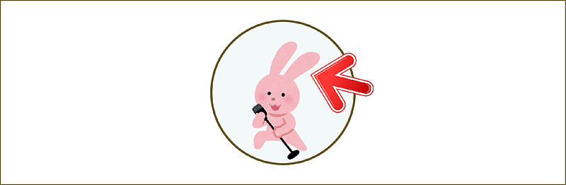 皿ウサギ 皿ウサギ