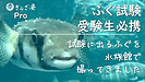 ふぐ試験 水族館で ふぐ の映像を撮ってきました