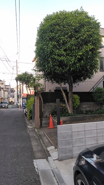 （高校1年生、英語悩み相談）英単語集の例文「音声だけ」では覚えられなくて困った！