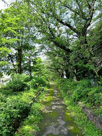 ★★7月、8月（まだ夏期講習を決めてない高校生、浪人生）今が「最大のチャンス」です！
