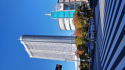 東京D01