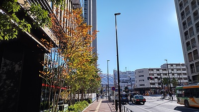 東京D04