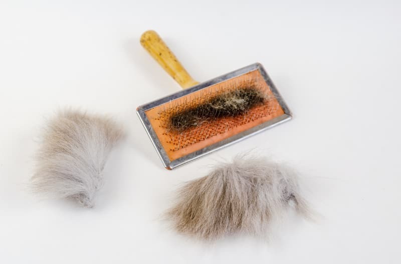 ブラシと毛玉